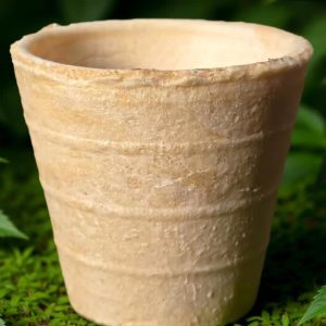 Edible Cup 60ml – Chuski Bite | Eco-Friendly & Edible Coffee Cup
